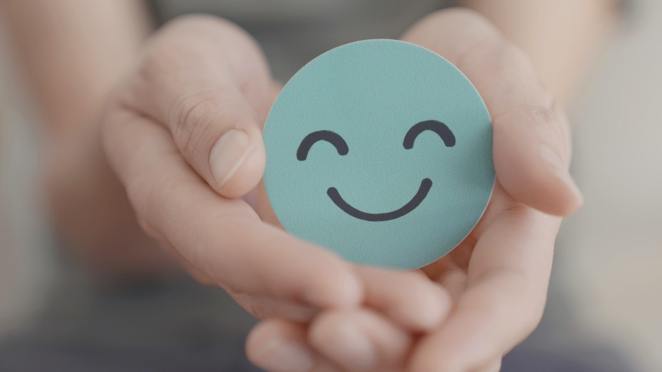 hands holding smiling face